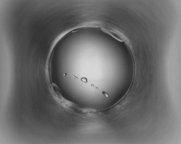 X0000113540960200909250924