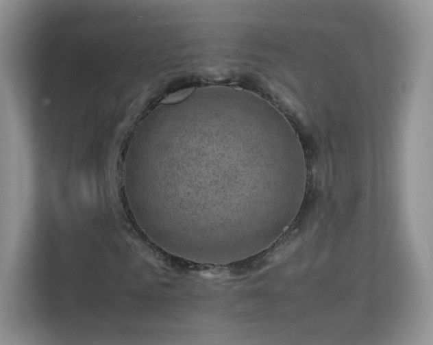 X0000113540961200909250923