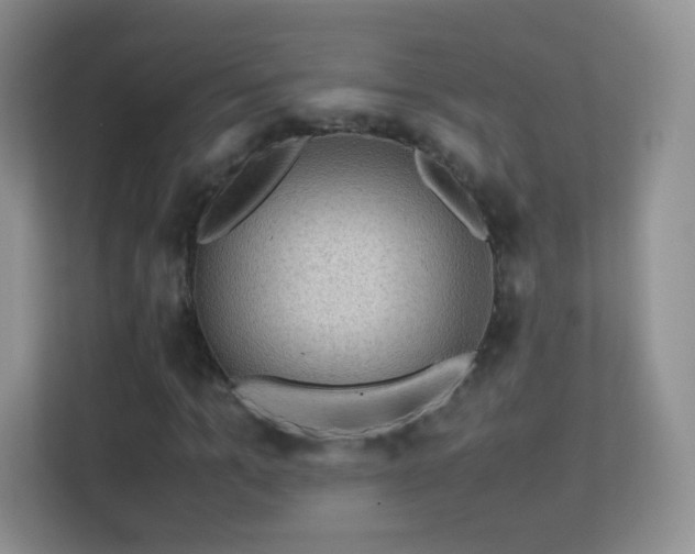 X0000113540965200909250923