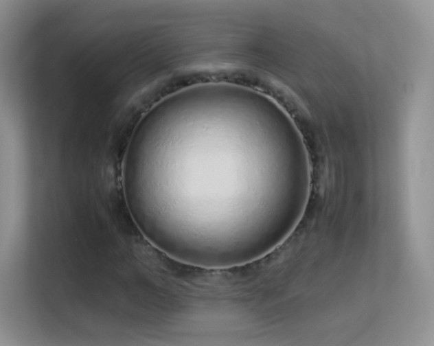 X0000113540966200909250923