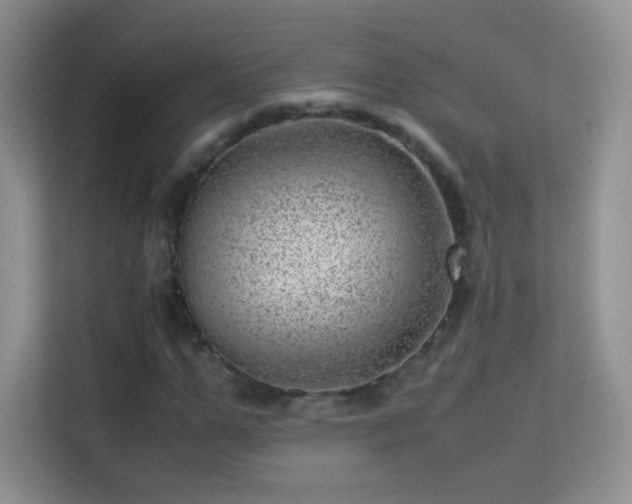 X0000113540967200909250923