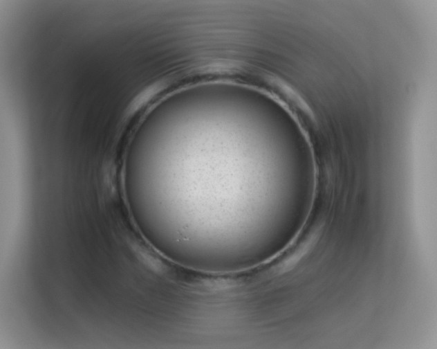 X0000113540970200909250923