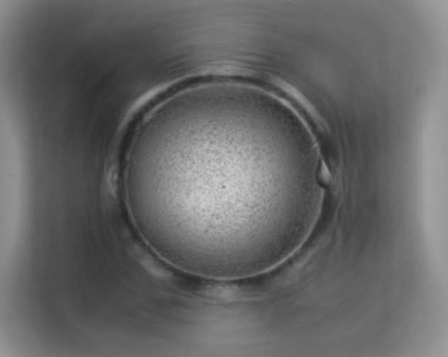 X0000113540971200909250923