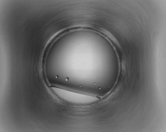 X0000113540972200909250923