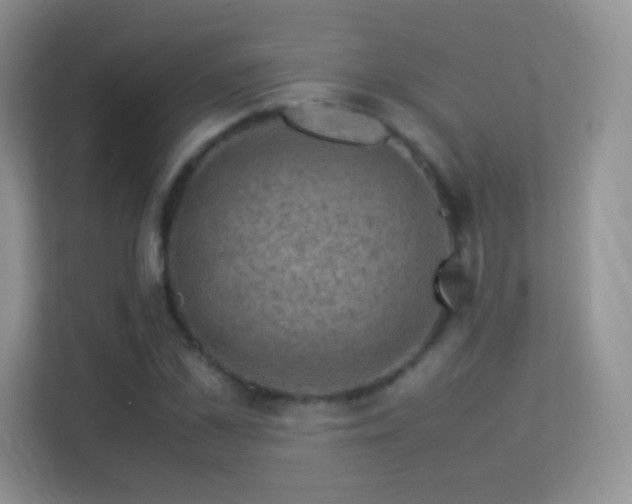 X0000113540973200909250923