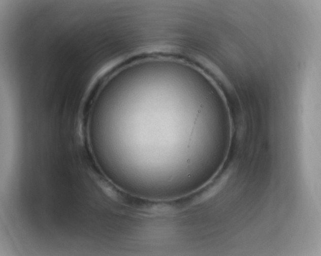 X0000113540974200909250923
