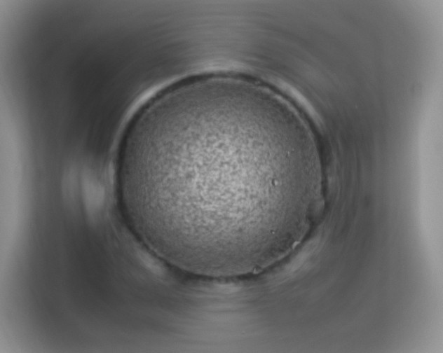 X0000113540975200909250923