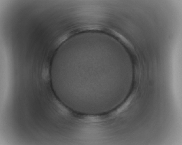 X0000113540977200909250923