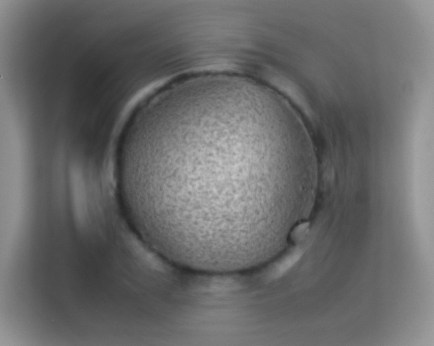 X0000113540979200909250923