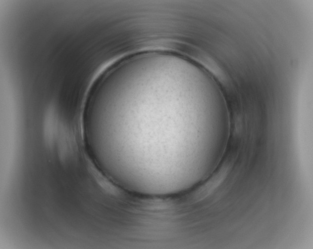 X0000113540980200909250923