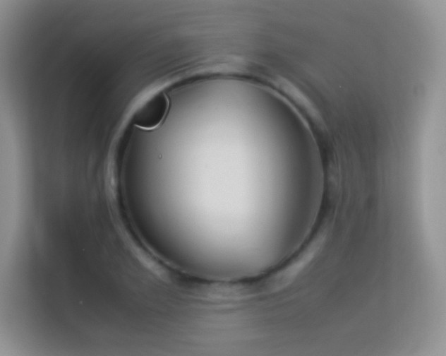 X0000113540981200909250923