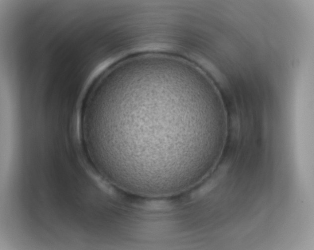 X0000113540982200909250923