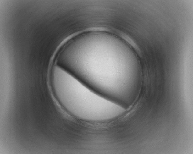X0000113540984200909250923