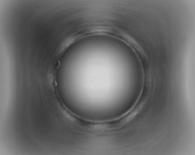 X0000113540985200909250923