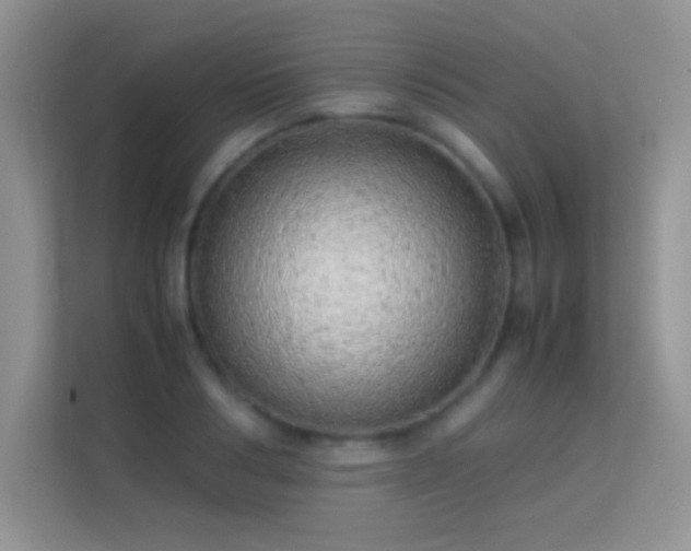 X0000113540986200909250923