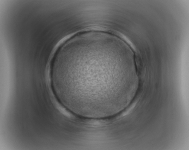 X0000113540987200909250923