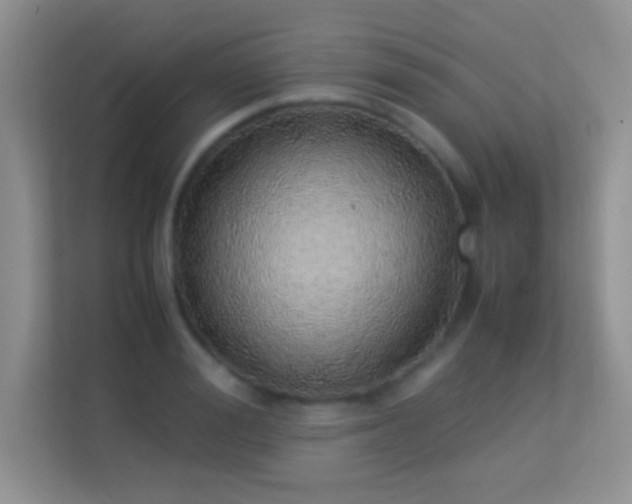 X0000113540988200909250923