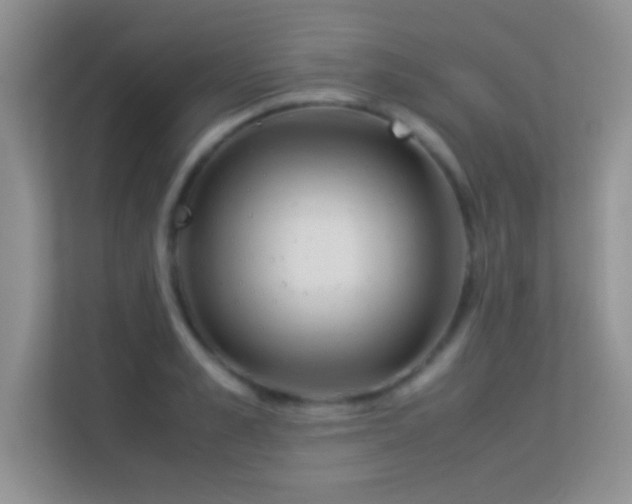 X0000113540989200909250923