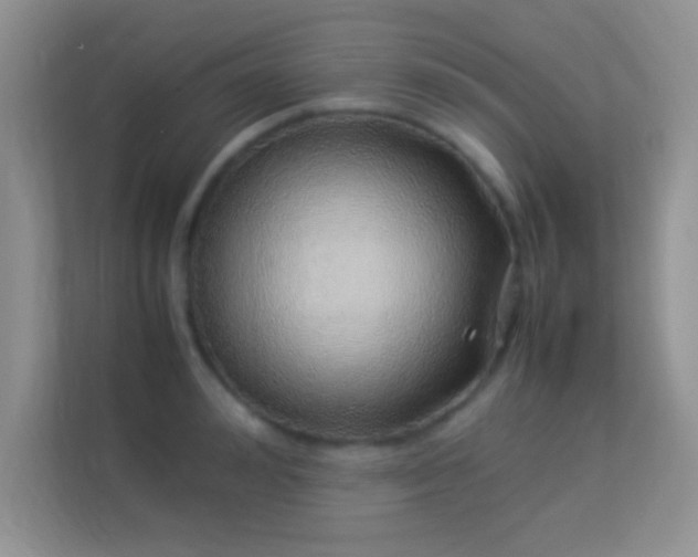 X0000113540992200909250923