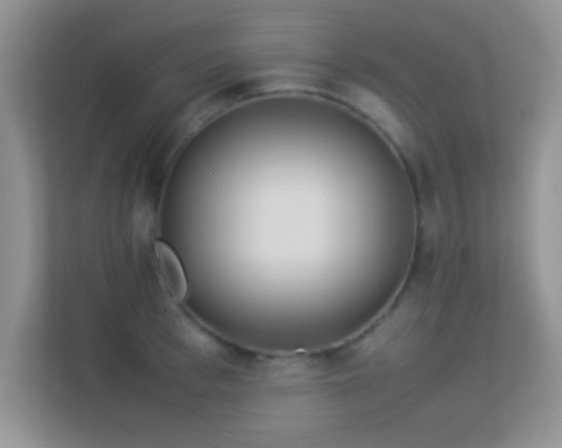 X0000113540993200909250922