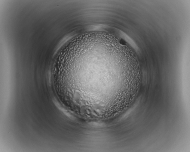 X0000113540994200909250922