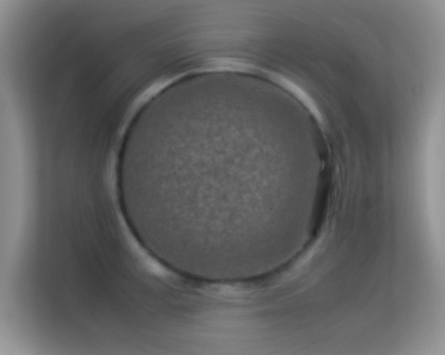X0000113540995200909250922