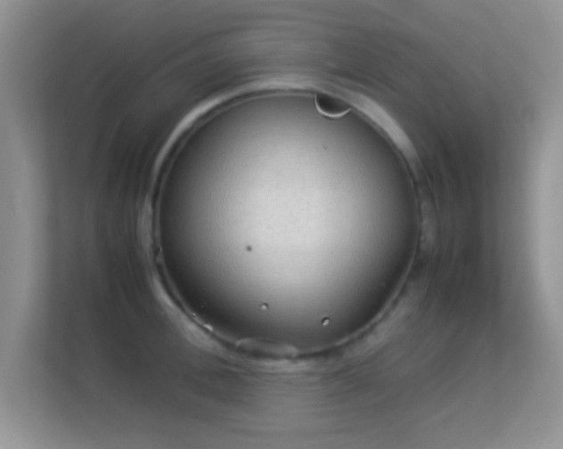 X0000113540996200909250922