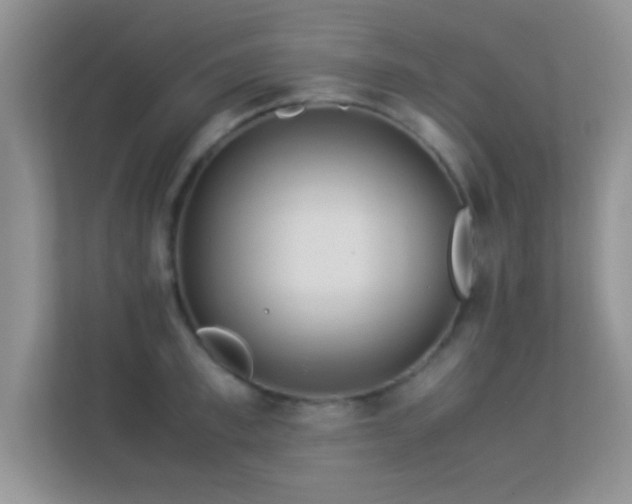 X0000113540997200909250922