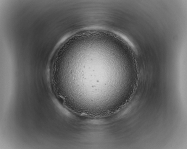 X0000113540998200909250922