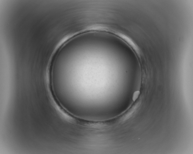 X0000113540999200909250922