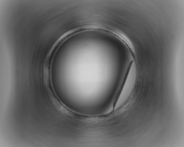X0000113541000200909250922