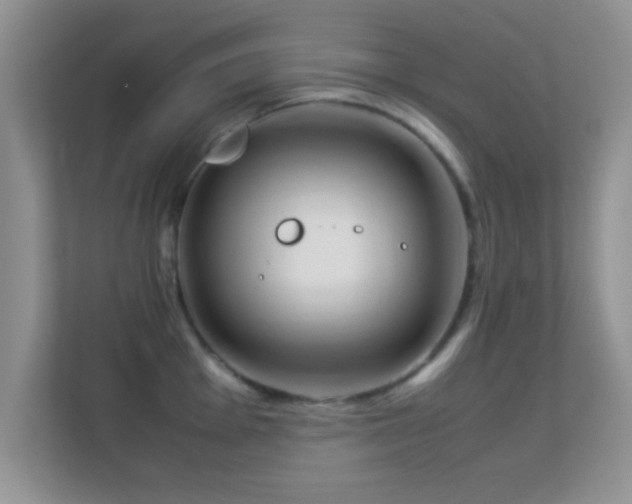 X0000113541001200909250922