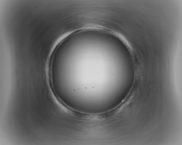 X0000113541003200909250922