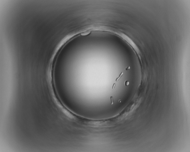 X0000113541005200909250922