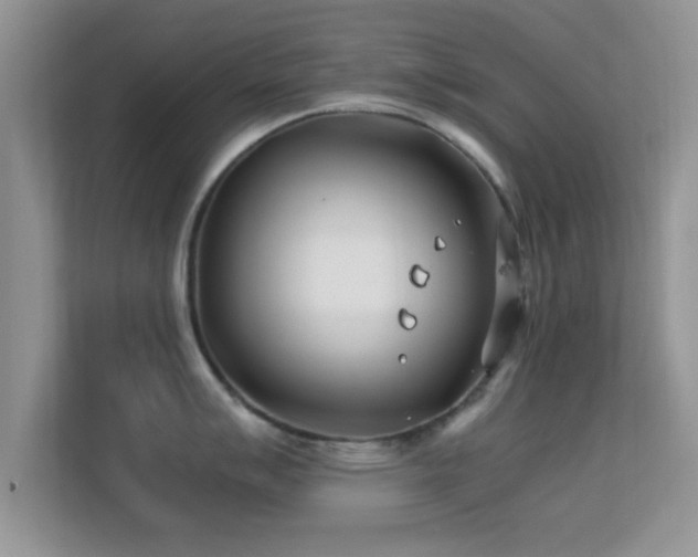 X0000113541007200909250922