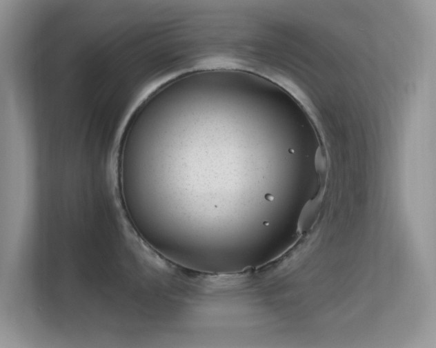 X0000113541008200909250922