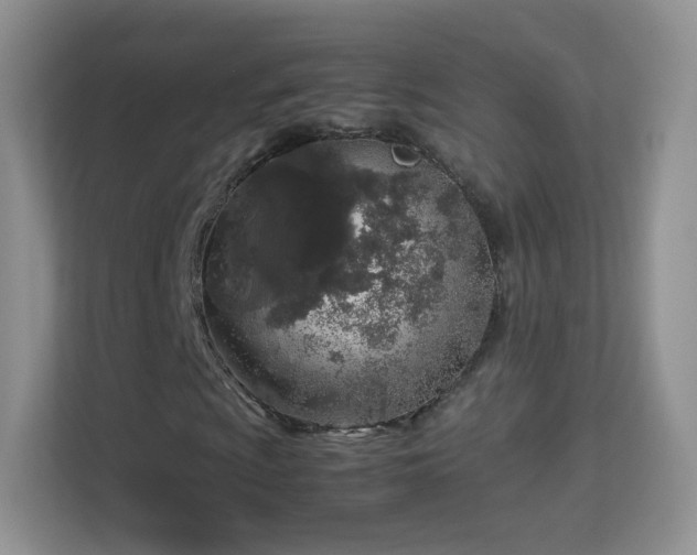 X0000113541009200909250922