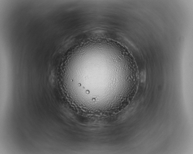 X0000113541011200909250922