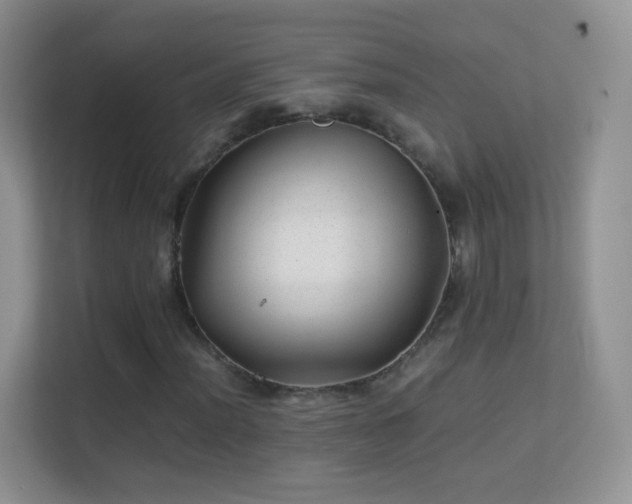 X0000113541012200909250922
