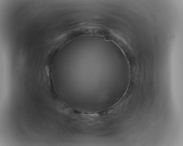 X0000113541013200909250922