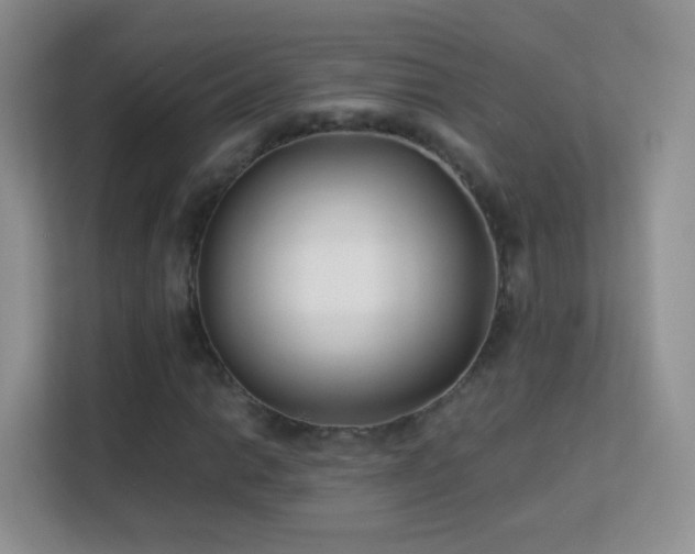 X0000113541014200909250922