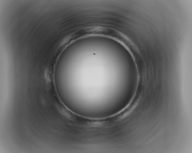 X0000113541017200909250922