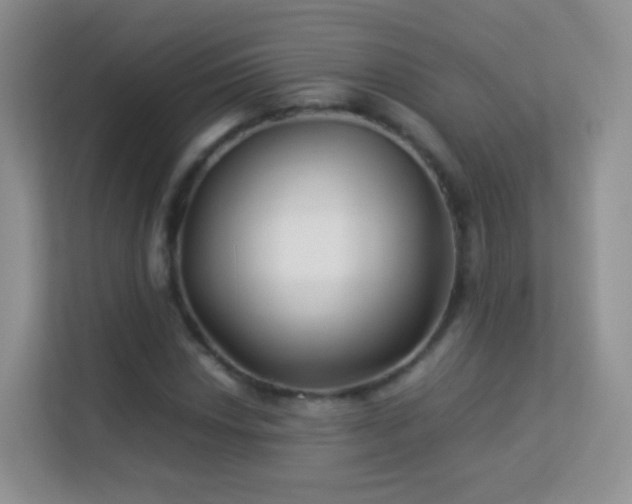 X0000113541018200909250922