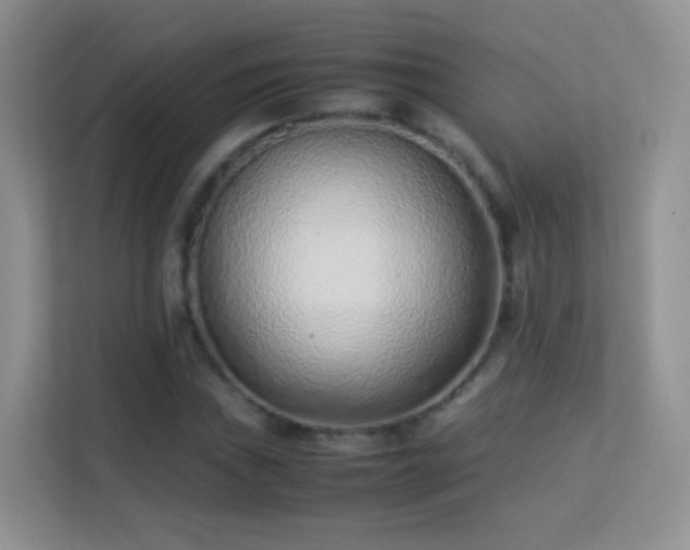X0000113541019200909250922