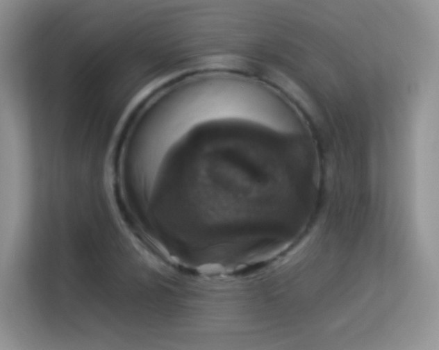 X0000113541024200909250922