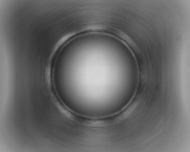 X0000113541030200909250922