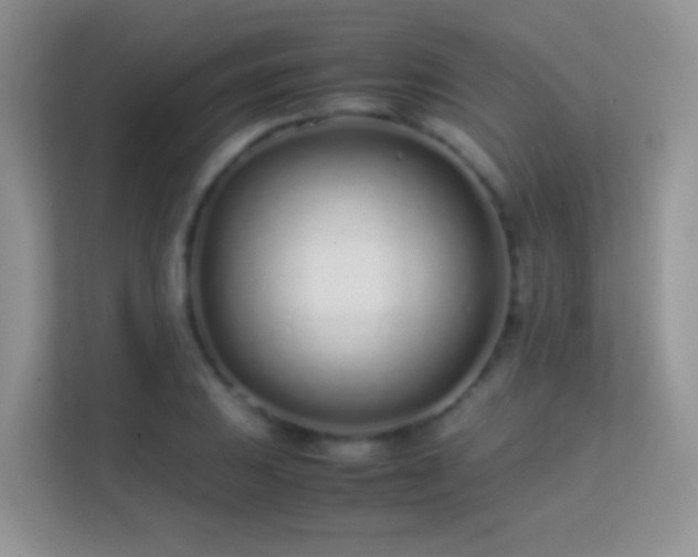 X0000113541031200909250922