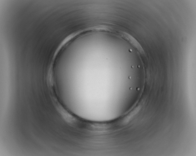 X0000113541036200909250922