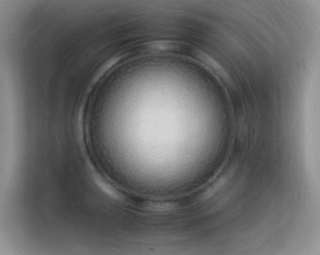 X0000113541039200909250922