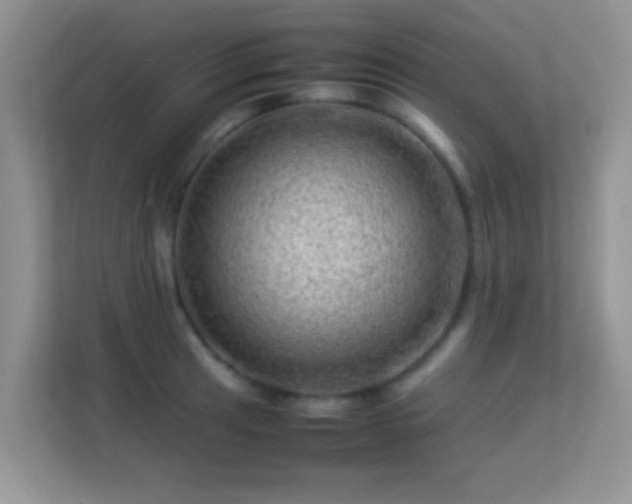 X0000113541041200909250922